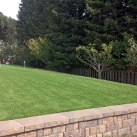 Artificial Grass Carpet Dewey-Humboldt, Arizona Garden Ideas, Backyards