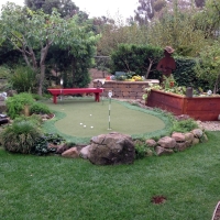 Artificial Grass Carpet Pinedale, Arizona Lawns, Backyards