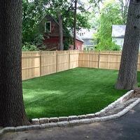 Artificial Grass Carpet Scottsdale, Arizona Lawns, Backyards