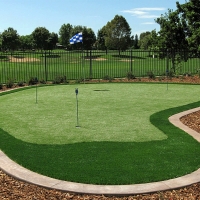 Artificial Grass Carpet Tolleson, Arizona Landscape Design, Backyard Landscape Ideas