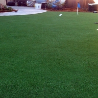 Artificial Grass Carpet West Winslow, Arizona Design Ideas, Backyards