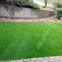 Artificial Grass Corona de Tucson, Arizona Dog Park, Backyards