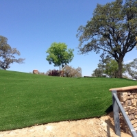 Artificial Lawn Heber-Overgaard, Arizona Backyard Playground, Front Yard Landscape Ideas