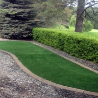 Artificial Turf Cost Williams, Arizona Design Ideas