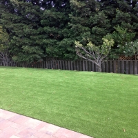 Artificial Turf Peeples Valley, Arizona City Landscape, Backyard Landscaping