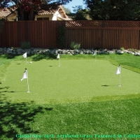 Artificial Turf Queen Creek, Arizona Paver Patio, Backyard Designs