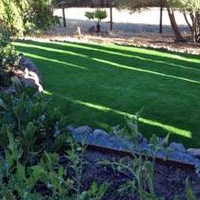 Artificial Turf Santa Cruz, Arizona Backyard Playground, Small Backyard Ideas