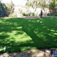 Artificial Turf Tonopah, Arizona Rooftop, Backyard Ideas