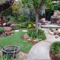 Best Artificial Grass Parker Strip, Arizona Gardeners, Backyard Landscaping