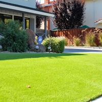 Best Artificial Grass Washington Park, Arizona Lawn And Garden, Small Front Yard Landscaping