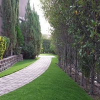 Fake Grass Carpet Nutrioso, Arizona Backyard Playground, Front Yard Landscaping