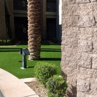 Fake Grass Carpet Winkelman, Arizona Lawn And Garden, Commercial Landscape