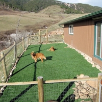 Fake Lawn Hayden, Arizona Drainage, Backyard Garden Ideas