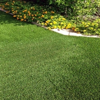 Fake Lawn McNary, Arizona Gardeners, Front Yard Landscaping Ideas