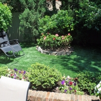 Fake Lawn Naco, Arizona Landscaping, Backyard Landscaping Ideas