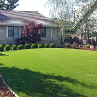 Fake Turf Cowlic, Arizona Backyard Playground, Front Yard Design