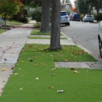 Fake Turf Grand Canyon Village, Arizona Backyard Deck Ideas, Landscaping Ideas For Front Yard