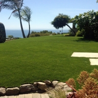 Fake Turf Miami, Arizona Backyard Playground, Commercial Landscape