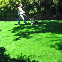 Faux Grass Williamson, Arizona Garden Ideas, Beautiful Backyards