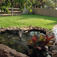 Faux Grass Willow Valley, Arizona Gardeners, Backyard Design