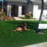 Grass Carpet Arizona City, Arizona Gardeners, Front Yard Landscape Ideas