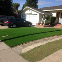 Grass Carpet Aztec, Arizona Landscape Ideas, Front Yard Landscaping