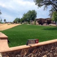 Grass Carpet Cave Creek, Arizona Backyard Deck Ideas, Front Yard