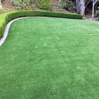 Grass Carpet Flowing Wells, Arizona Landscape Design, Backyard Landscaping