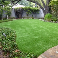 Grass Carpet Snowflake, Arizona Lawns, Backyards