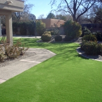 Grass Carpet Tonto Basin, Arizona Lawn And Garden, Landscaping Ideas For Front Yard