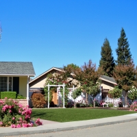 Grass Carpet Wilhoit, Arizona Garden Ideas, Front Yard Ideas