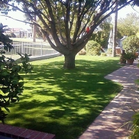 Grass Installation Shongopovi, Arizona Lawn And Garden