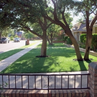 Grass Installation Springerville, Arizona Lawn And Landscape, Front Yard Landscape Ideas