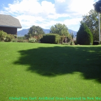 Grass Installation Tempe, Arizona Cat Playground, Backyard Makeover