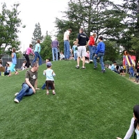 Grass Turf Anthem, Arizona Athletic Playground, Recreational Areas