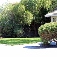 Grass Turf Dilkon, Arizona City Landscape, Front Yard Design