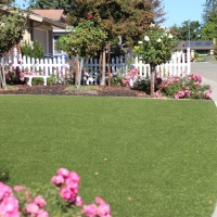 How To Install Artificial Grass Campo Bonito, Arizona Gardeners, Front Yard Design