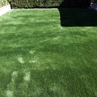 Installing Artificial Grass Canyon Day, Arizona Dog Hospital, Backyard Design