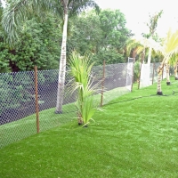 Lawn Services Kino Springs, Arizona City Landscape, Backyard Makeover