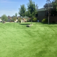 Outdoor Carpet Dewey-Humboldt, Arizona Grass For Dogs, Recreational Areas