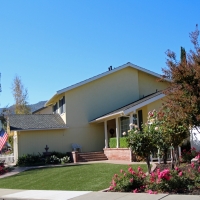 Outdoor Carpet Valentine, Arizona Landscape Ideas, Front Yard Landscaping