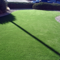 Plastic Grass Bouse, Arizona Landscaping Business, Front Yard Ideas