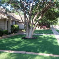 Synthetic Grass Cost Benson, Arizona Roof Top, Front Yard Landscaping