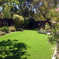 Synthetic Grass Cost Catalina, Arizona Landscaping, Backyard