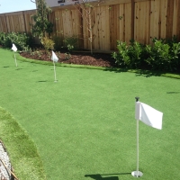 Synthetic Grass East Fork, Arizona Putting Green Grass, Backyard Makeover