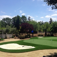 Synthetic Grass Flowing Wells, Arizona Office Putting Green, Front Yard Landscape Ideas