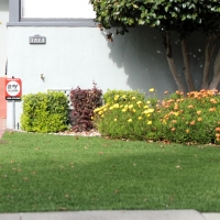 Synthetic Grass Second Mesa, Arizona Gardeners, Front Yard