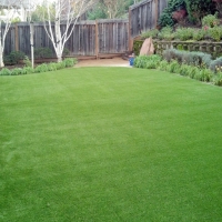 Synthetic Grass Sunizona, Arizona Gardeners, Backyard Landscape Ideas