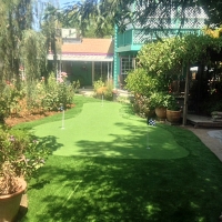 Synthetic Grass White Mountain Lake, Arizona Backyard Playground