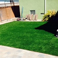 Synthetic Lawn Paradise Valley, Arizona Grass For Dogs, Backyard